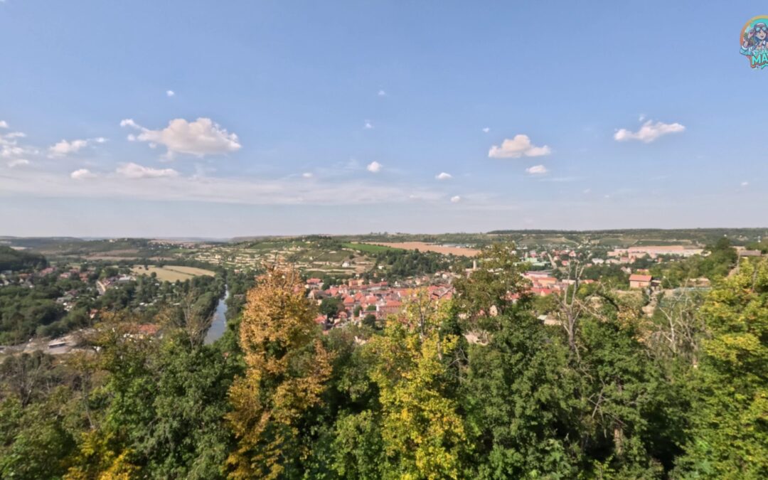 Freyburg (Unstrut) – Die Weinstadt in der „Toskana des Nordens“